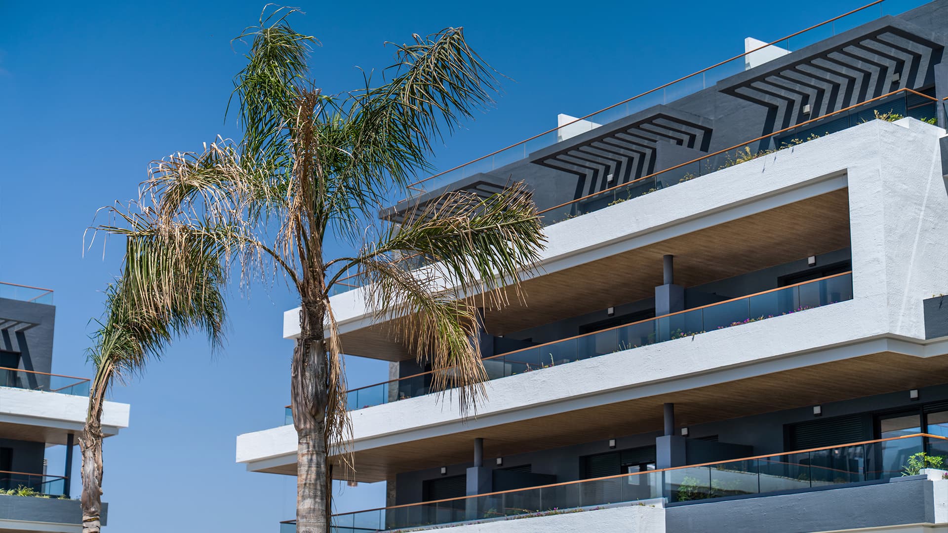 Apartmán · Torrevieja (Alicante)
