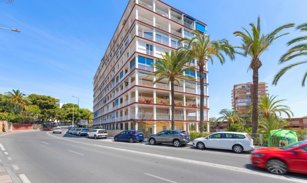 Apartment - Další prodej - Alicante - Alicante