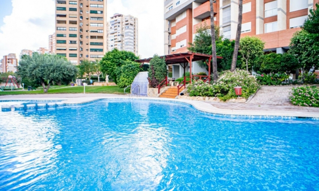 Apartment - Další prodej - Benidorm -
                Benidorm