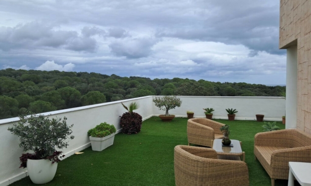 Apartment - Další prodej - La Alcaidesa - La Alcaidesa