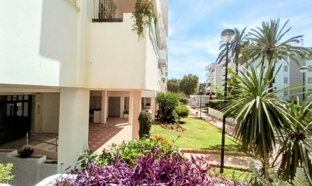 Apartment - Další prodej - La Carihuela - La Carihuela