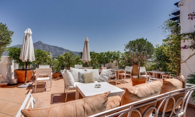 Apartment - Další prodej - Nueva Andalucía - Nueva Andalucía