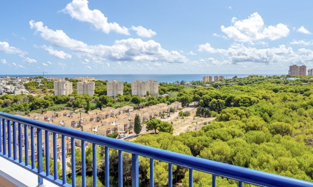 Apartment - Další prodej - Orihuela Costa - Campoamor