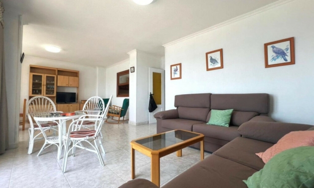 Apartment - Další prodej - Playa de los Locos - Playa de los Locos