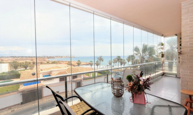 Apartment - Další prodej - Playa Flamenca - Playa Flamenca