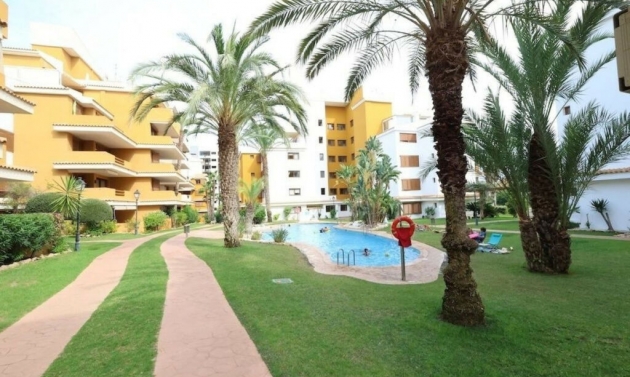 Apartment - Další prodej - Punta Prima - Punta Prima