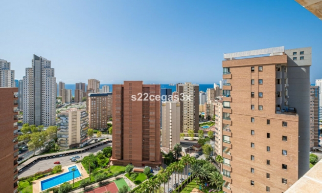 Apartment - Resale - Benidorm - Benidorm