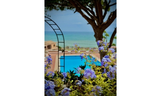 Apartment - Resale - Calahonda - Calahonda