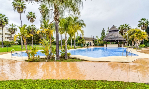 Apartment - Resale - El Paraiso - El Paraiso