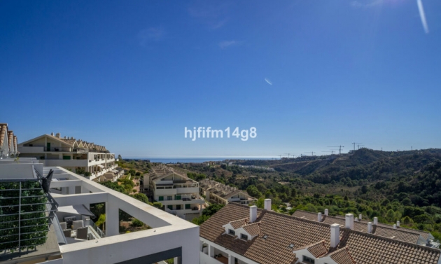 Apartment - Resale - Estepona - Estepona