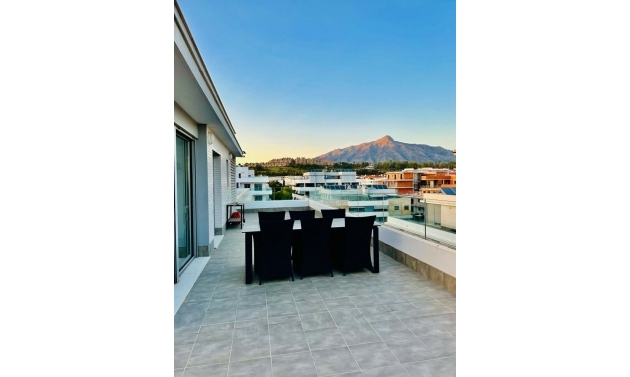 Apartment - Resale - La Campana - La Campana