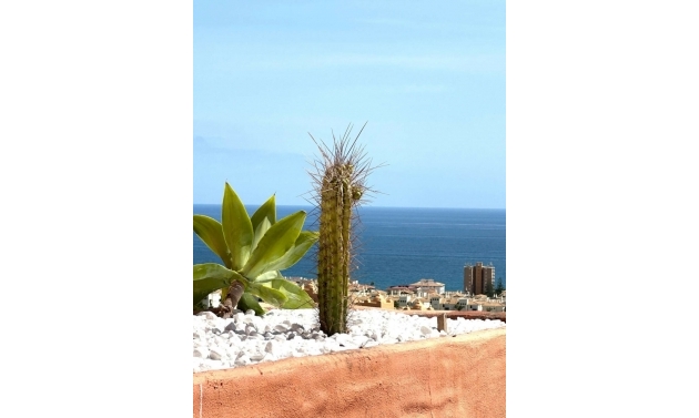 Apartment - Resale - La Duquesa - La Duquesa