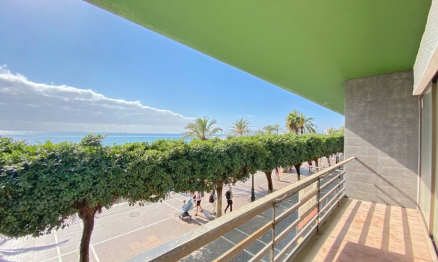 Apartment - Resale - Marbella - Marbella