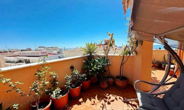 Apartment - Resale - Marbella - Marbella
