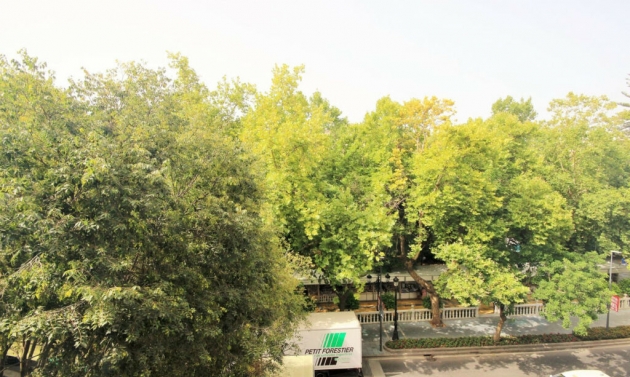 Apartment - Resale - Marbella - Marbella