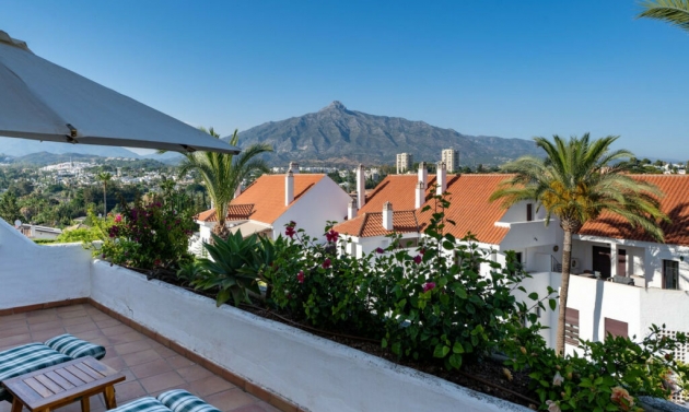 Apartment - Resale - Marbella - Marbella