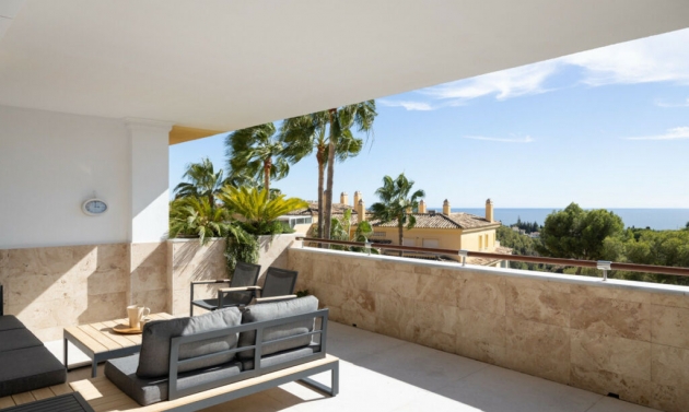 Apartment - Resale - Marbella - Marbella