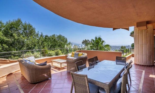 Apartment - Resale - Nueva Andalucía - Nueva Andalucía