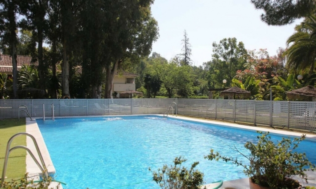 Apartment - Resale - Nueva Andalucía - Nueva Andalucía