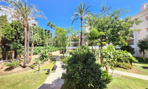 Apartment - Resale - Nueva Andalucía - Nueva Andalucía