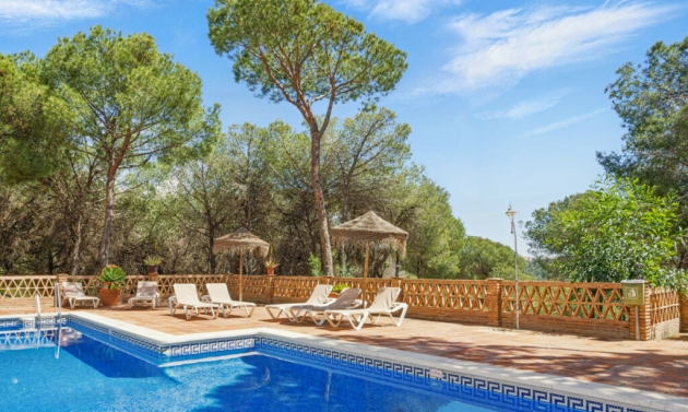 Apartment - Resale - Nueva Andalucía - Nueva Andalucía