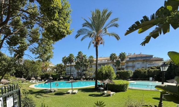 Apartment - Resale - Nueva Andalucía - Nueva Andalucía