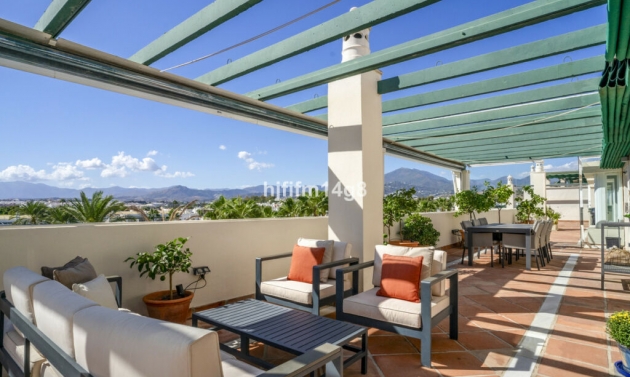 Apartment - Resale - Nueva Andalucía - Nueva Andalucía
