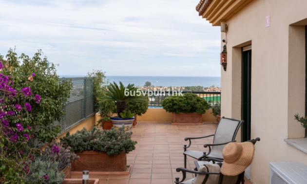 Apartment - Resale - San Pedro de Alcántara - CDS-31330