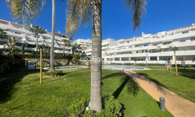 Apartment - Resale - Selwo - Selwo