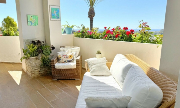 Apartment - Resale - Selwo -
                Selwo