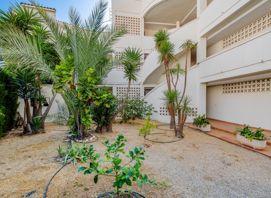 Další prodej - Apartment -
Altea