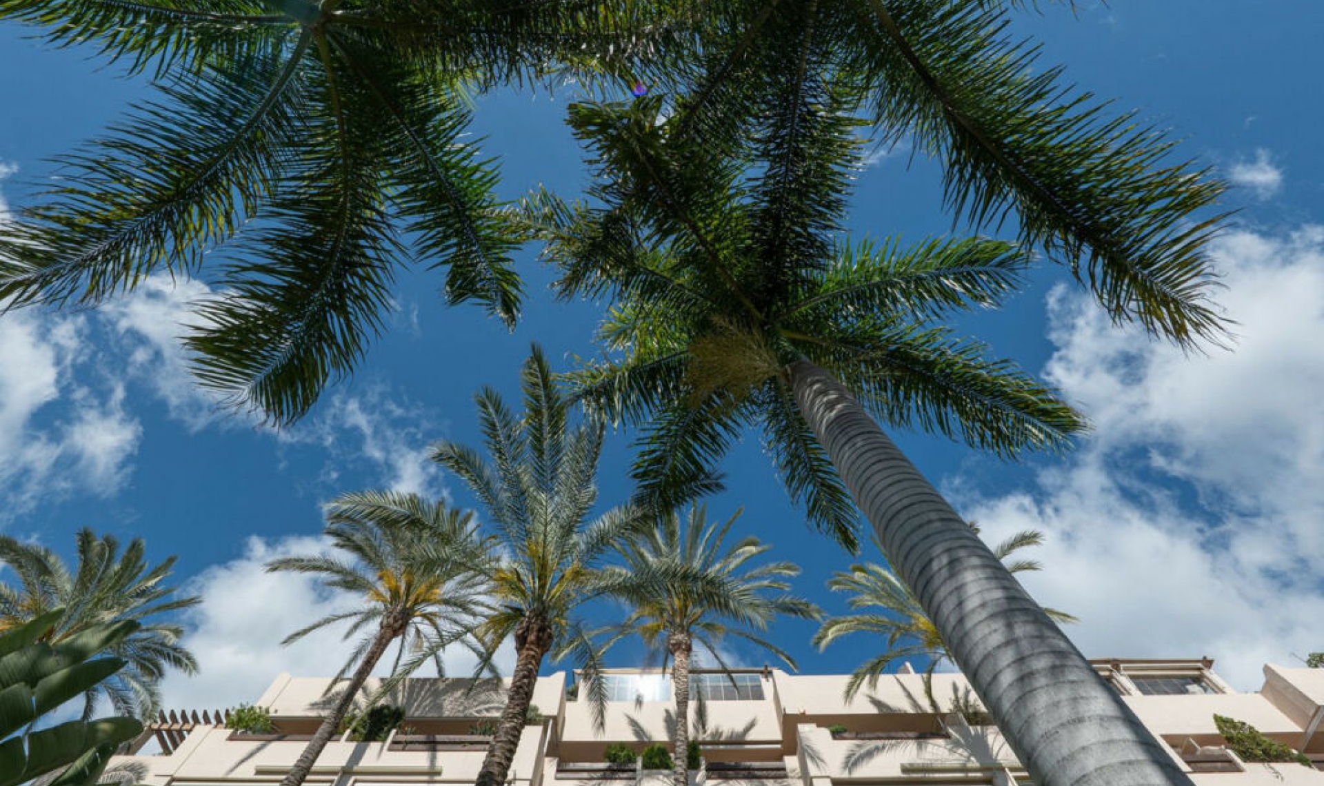 Další prodej - Apartment -
El Paraiso