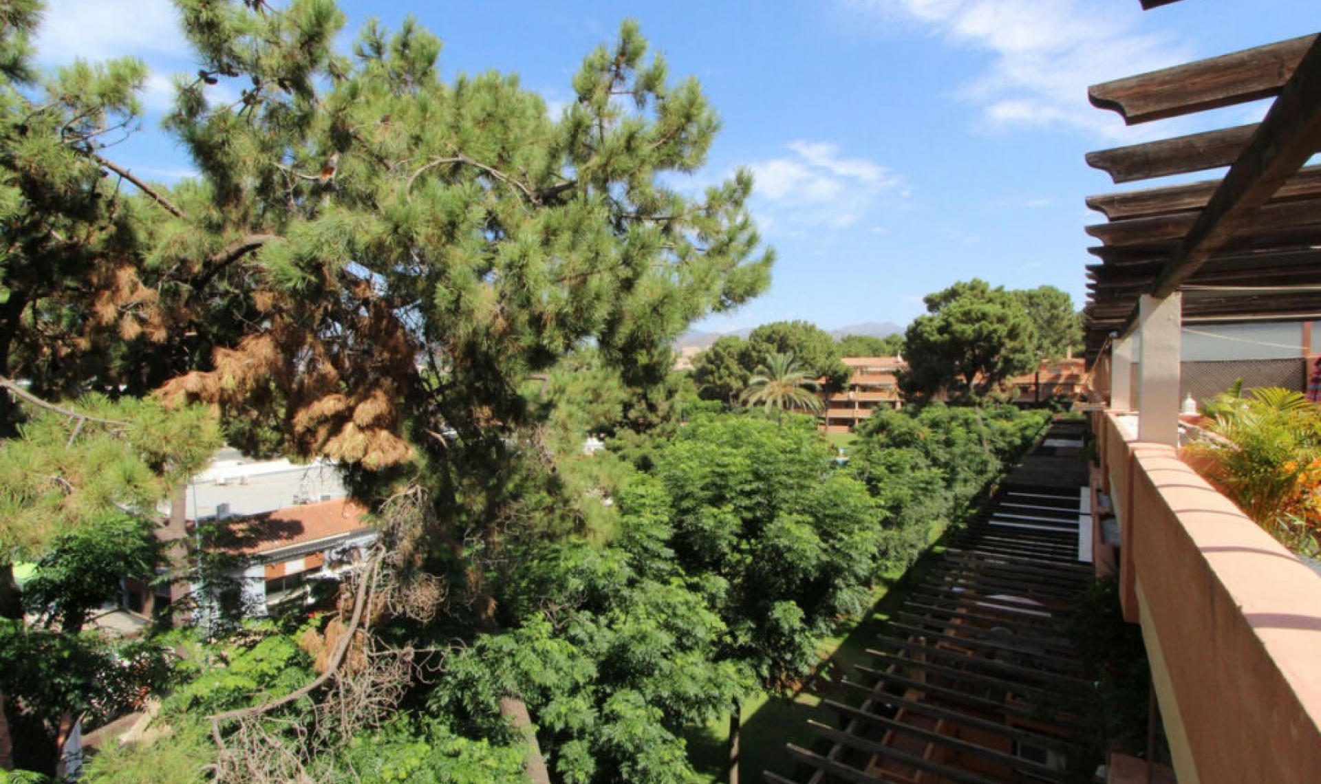 Další prodej - Apartment -
Elviria