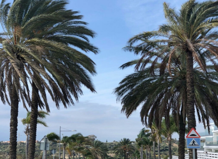 Další prodej - Apartment -
Estepona