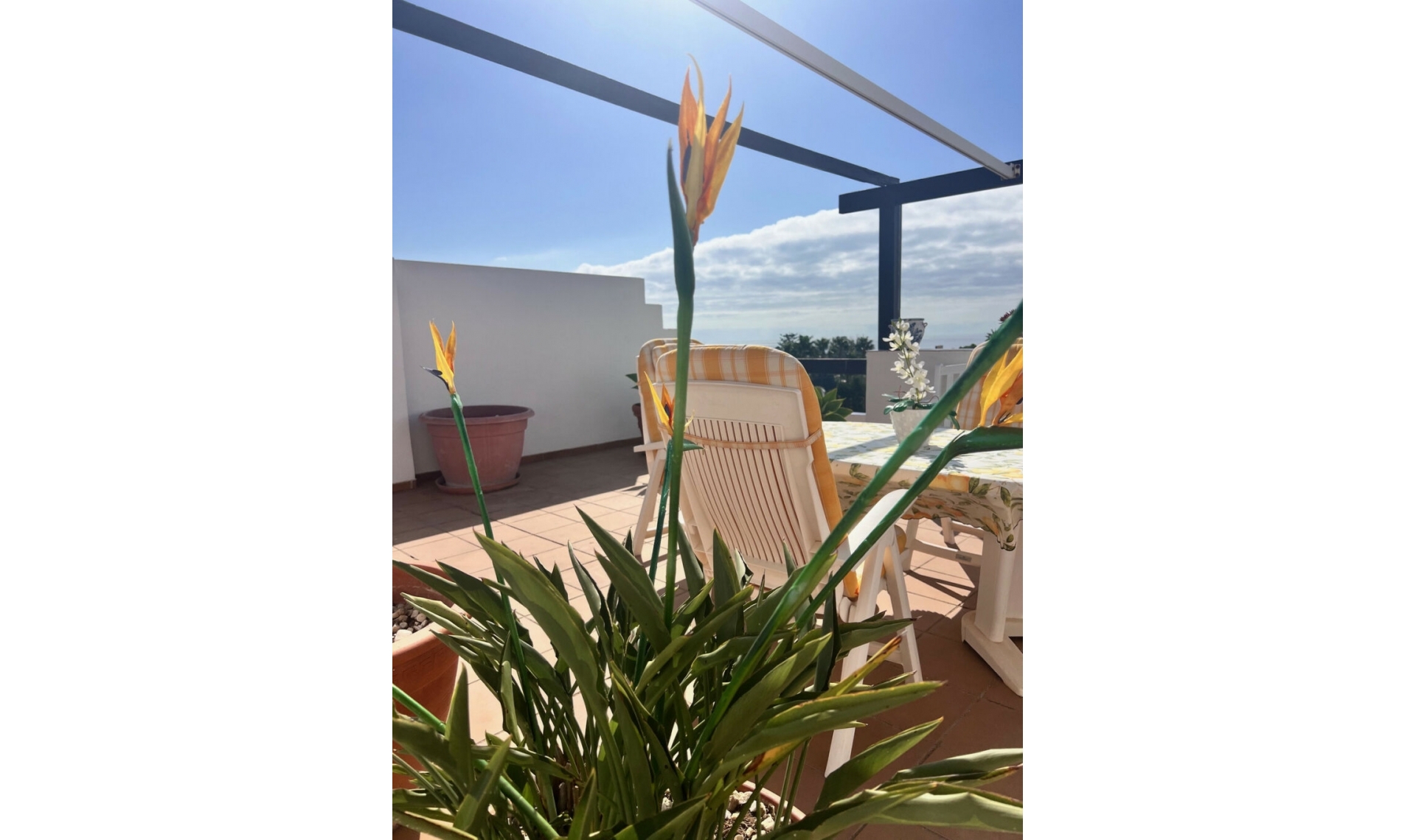 Další prodej - Apartment -
Estepona