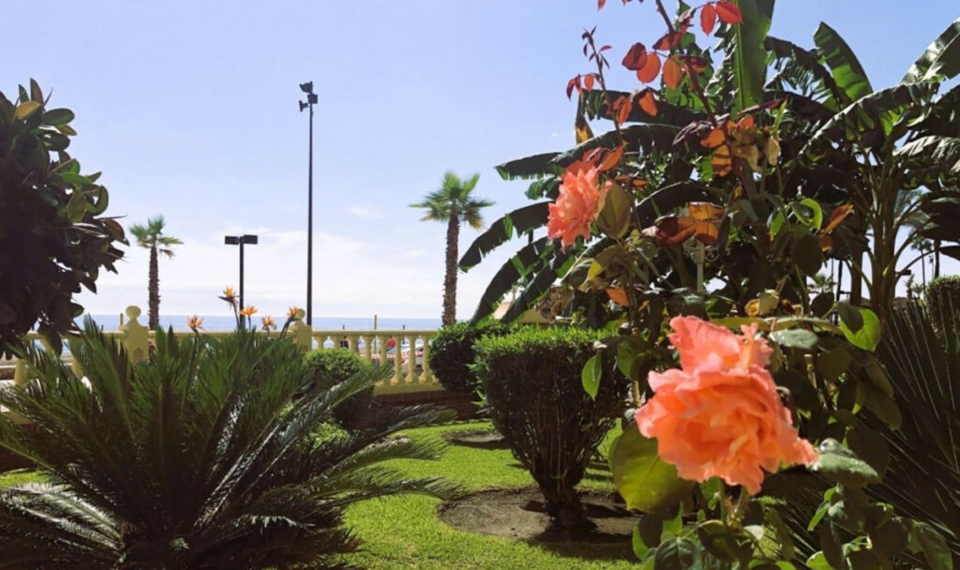 Další prodej - Apartment -
Fuengirola