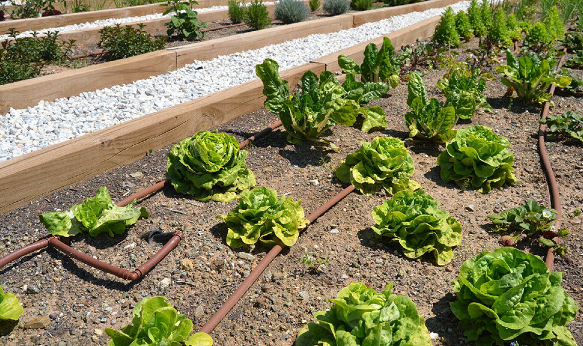 Další prodej - Apartment -
Fuengirola