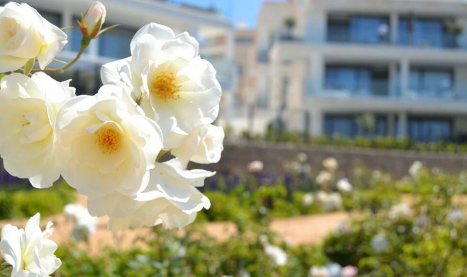 Další prodej - Apartment -
Fuengirola