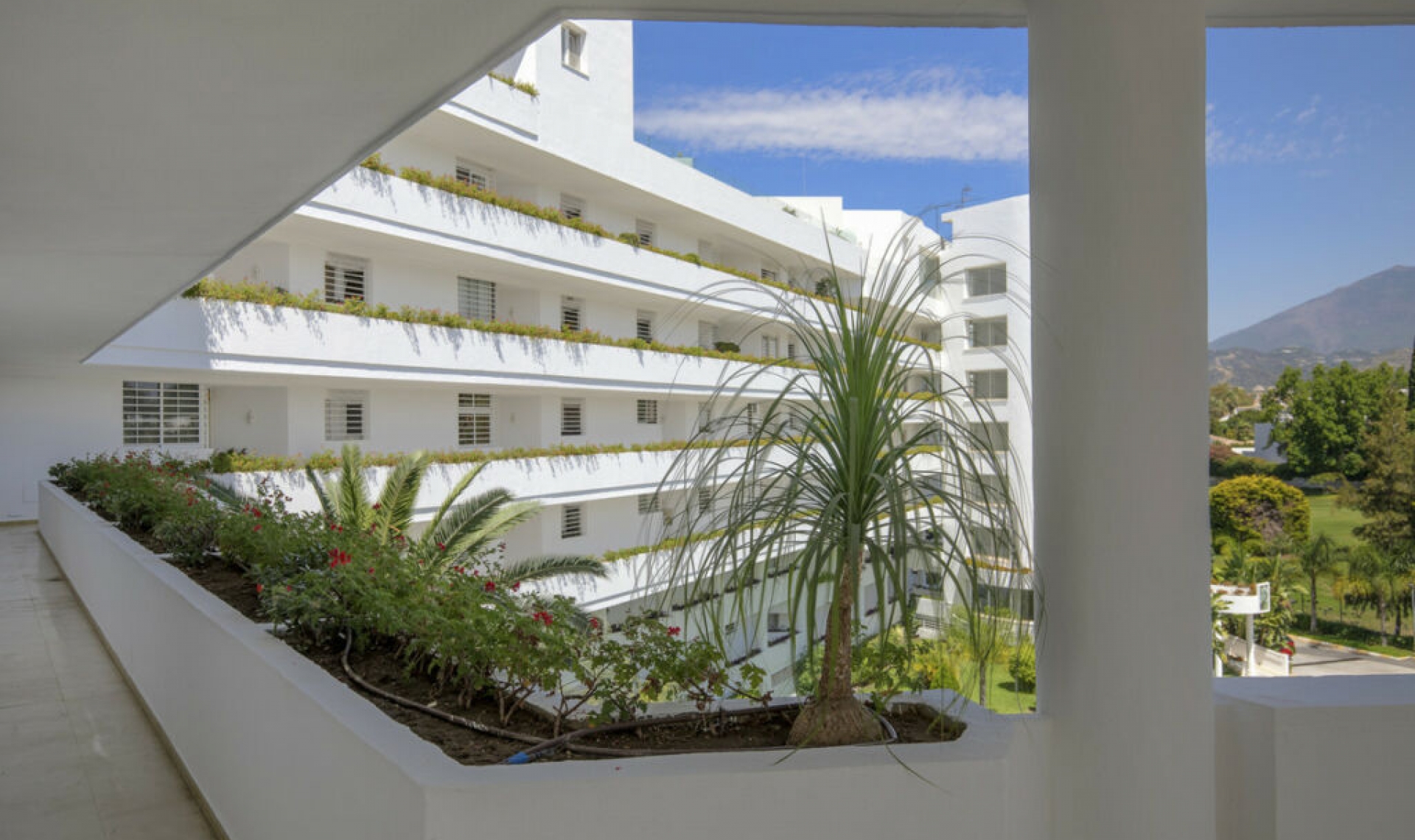 Další prodej - Apartment -
Guadalmina Alta