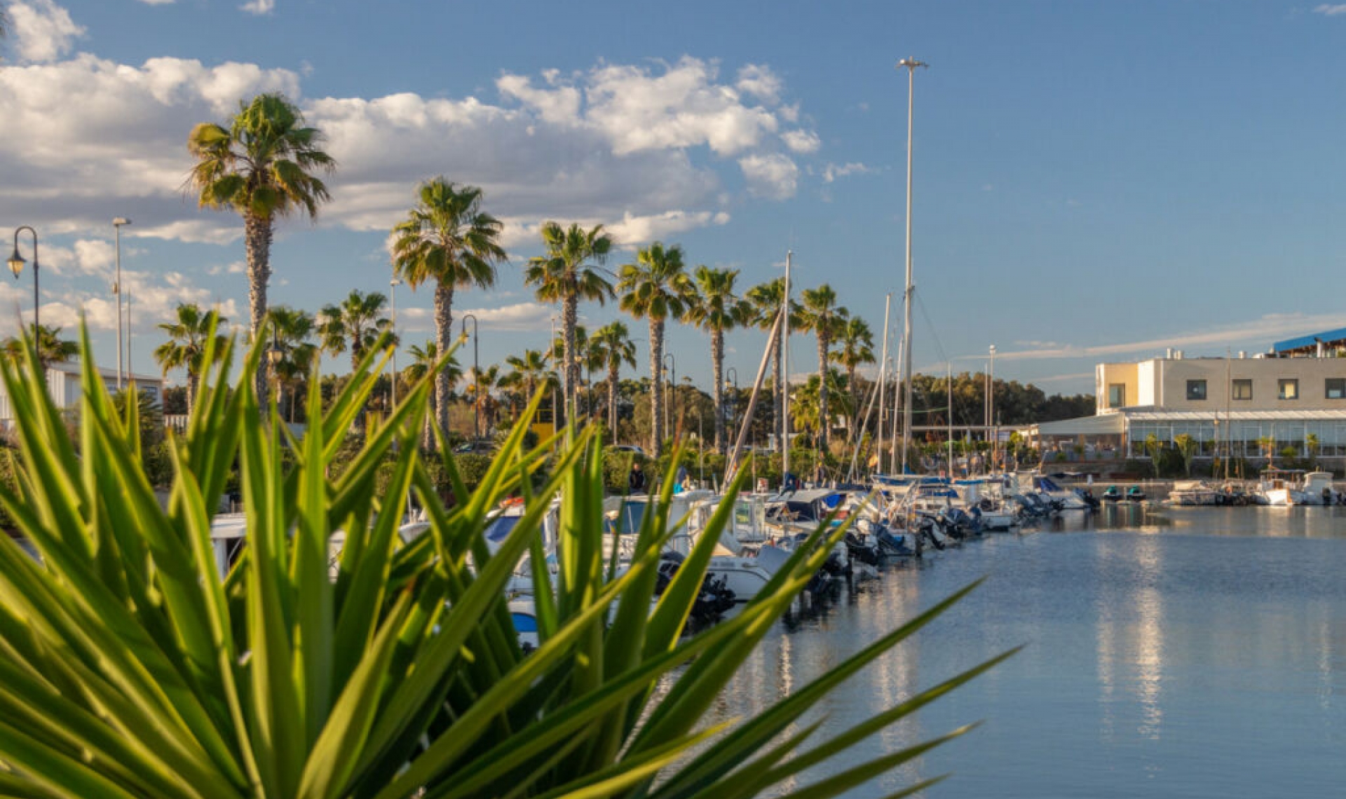 Další prodej - Apartment -
Guardamar del Segura