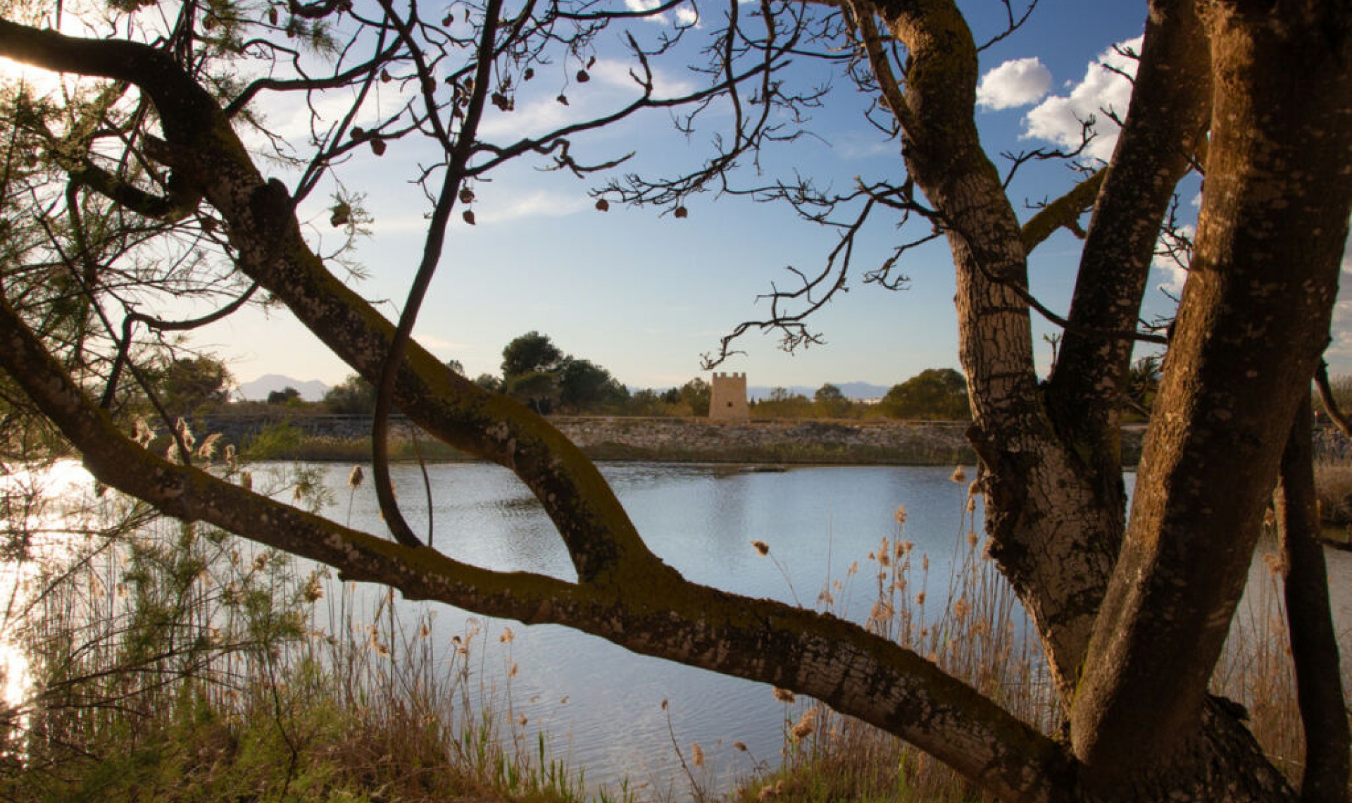 Další prodej - Apartment -
Guardamar del Segura