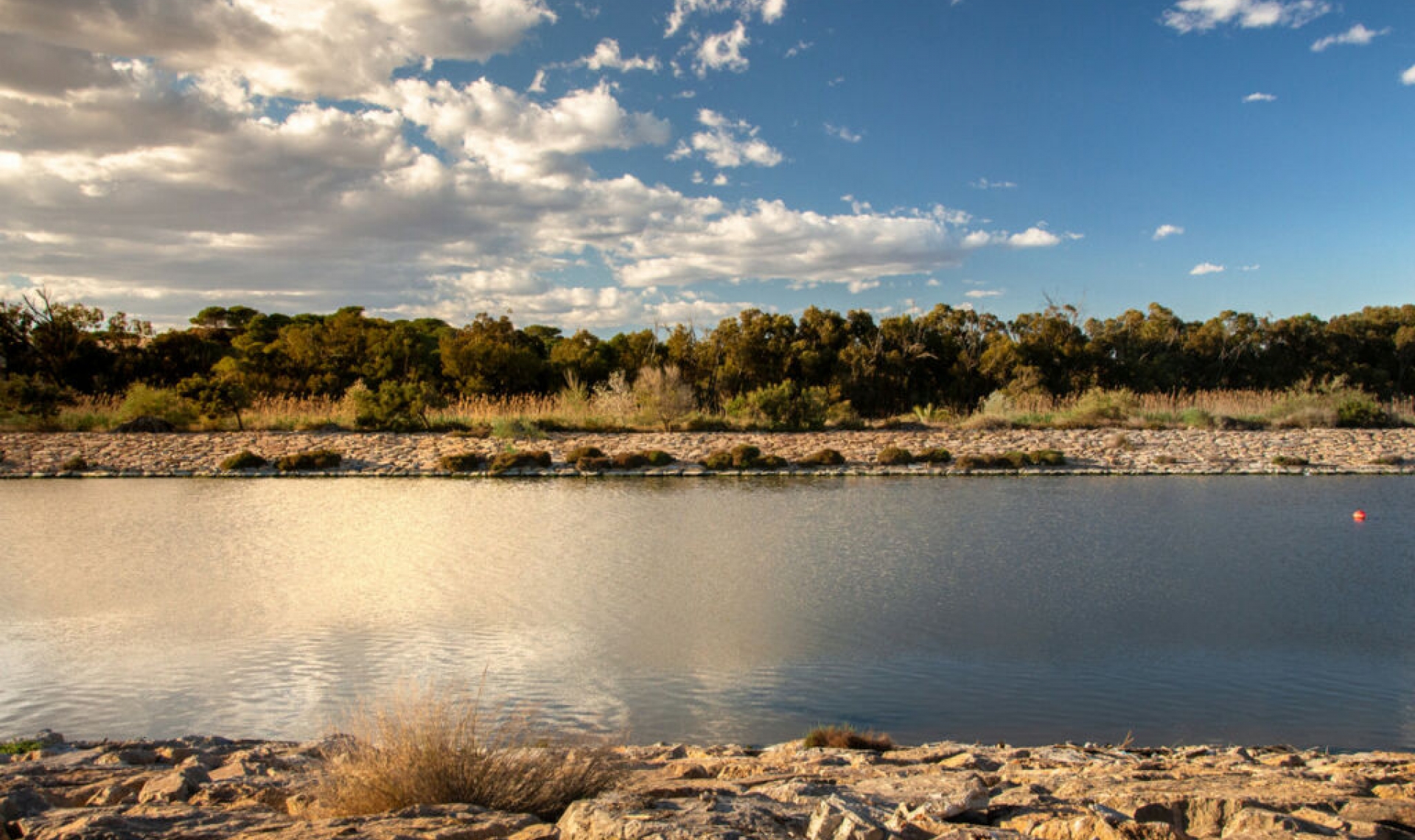 Další prodej - Apartment -
Guardamar del Segura