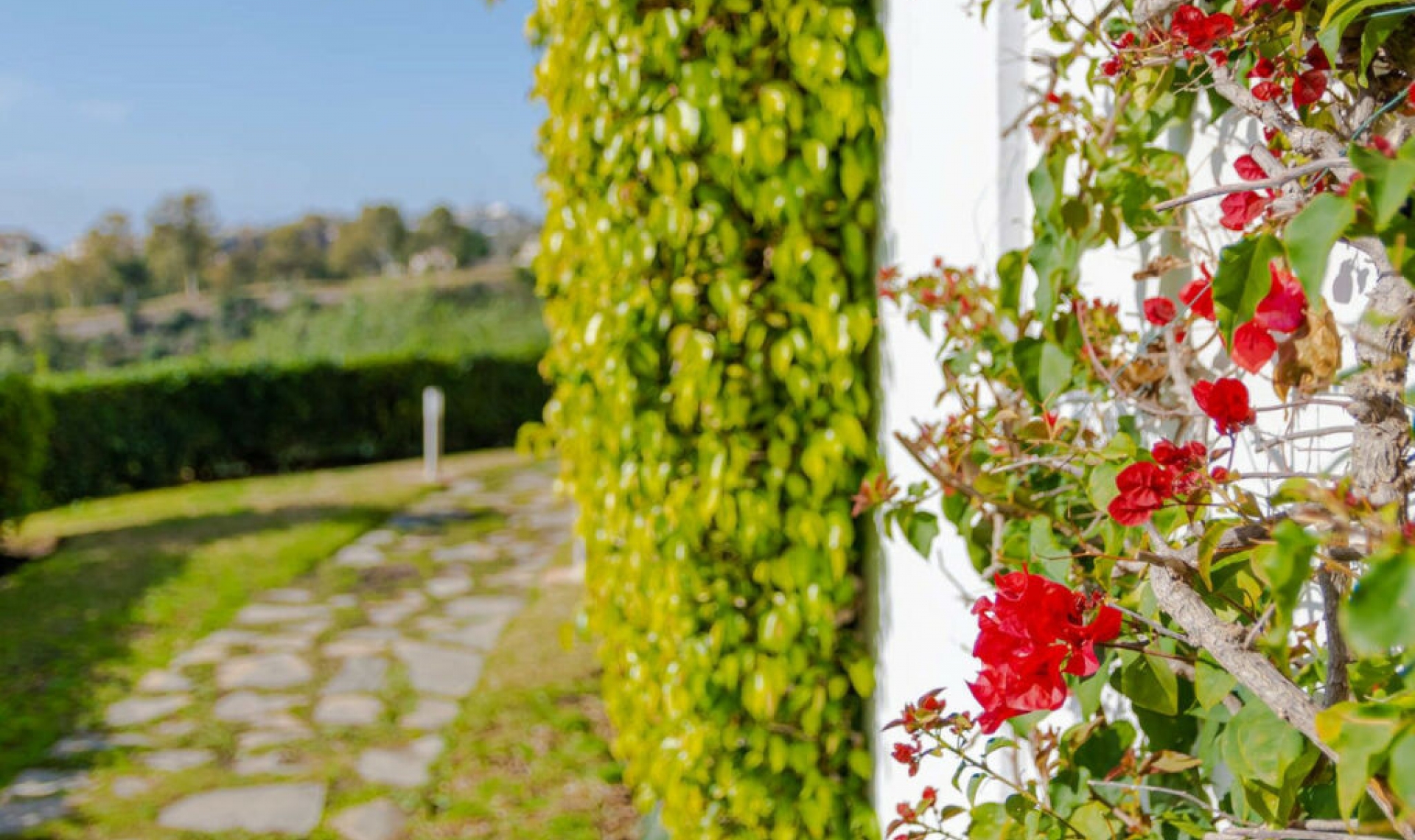 Další prodej - Apartment -
Los Arqueros