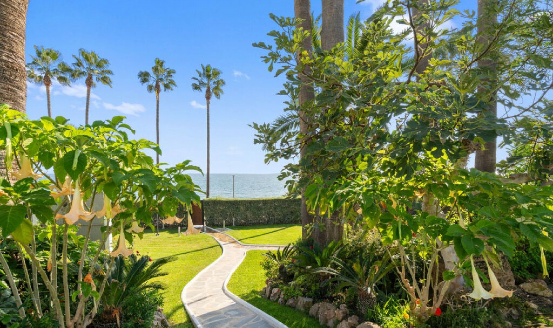 Další prodej - Apartment -
New Golden Mile