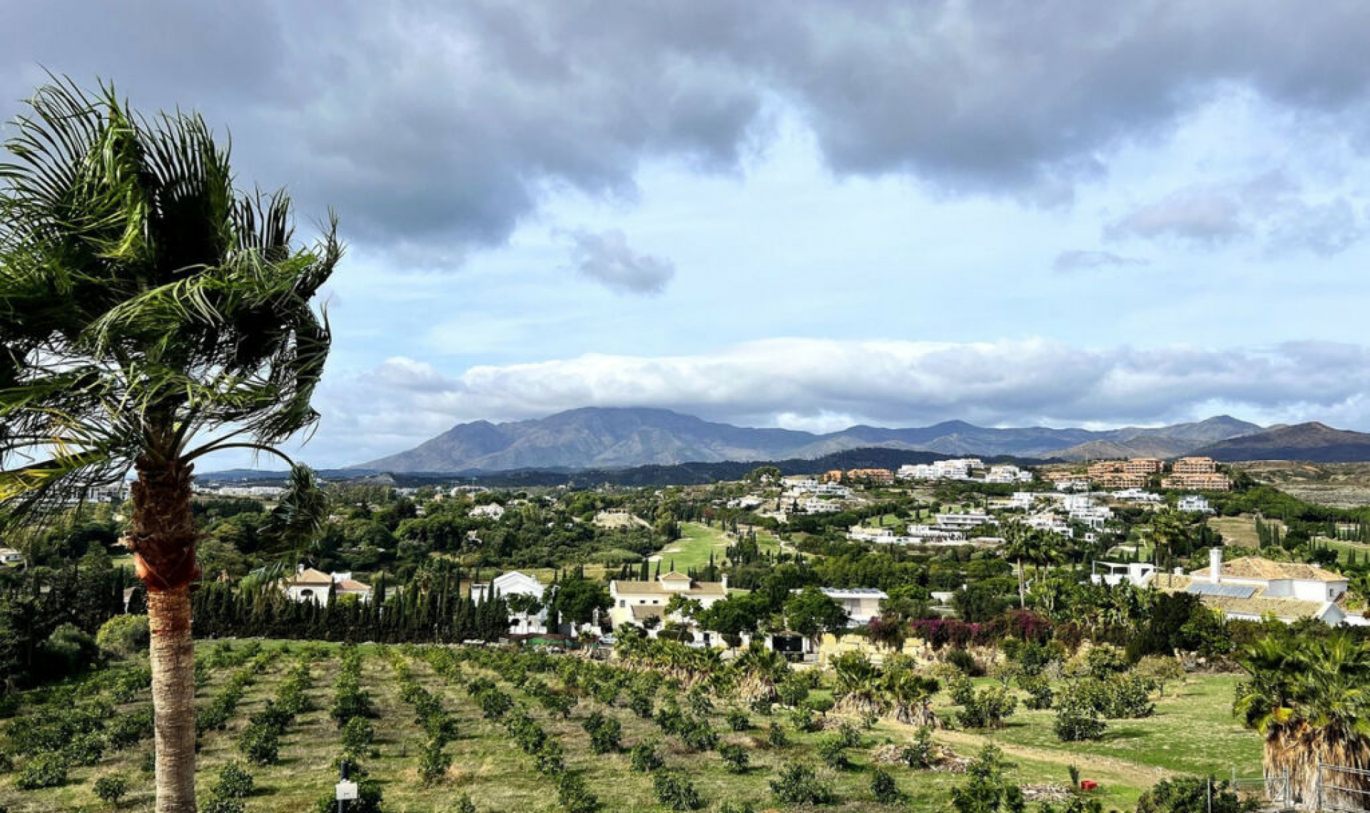 Další prodej - Apartment -
New Golden Mile