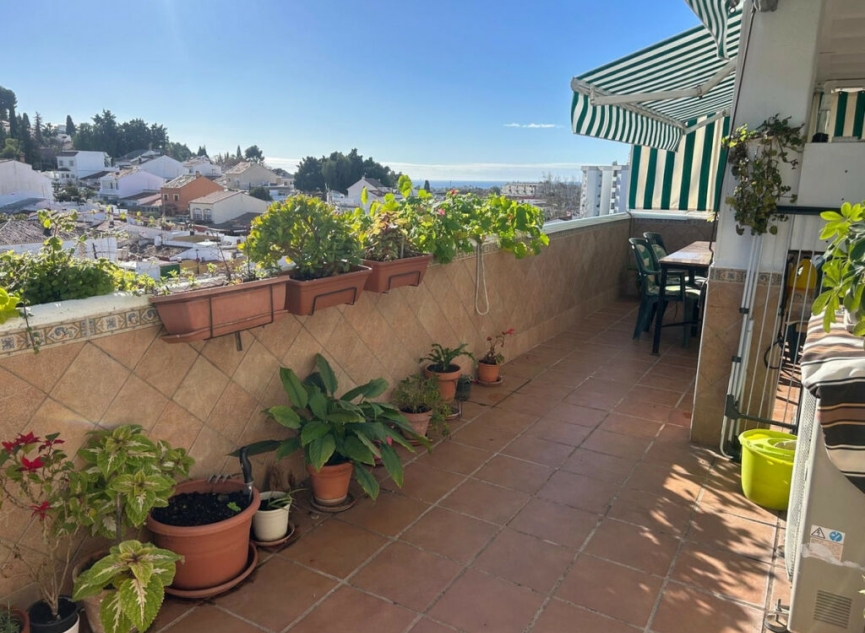 Další prodej - Apartment -
Nueva Andalucía