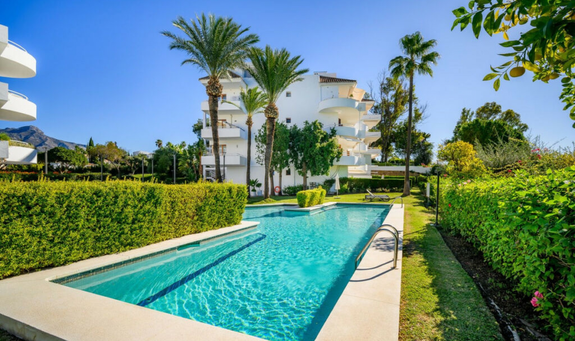 Další prodej - Apartment -
Nueva Andalucía