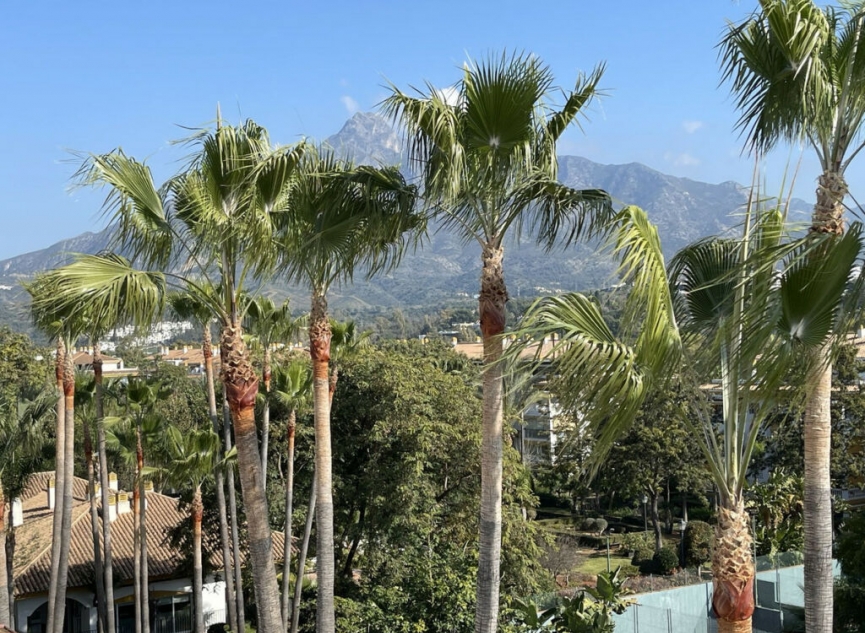 Další prodej - Apartment -
Nueva Andalucía