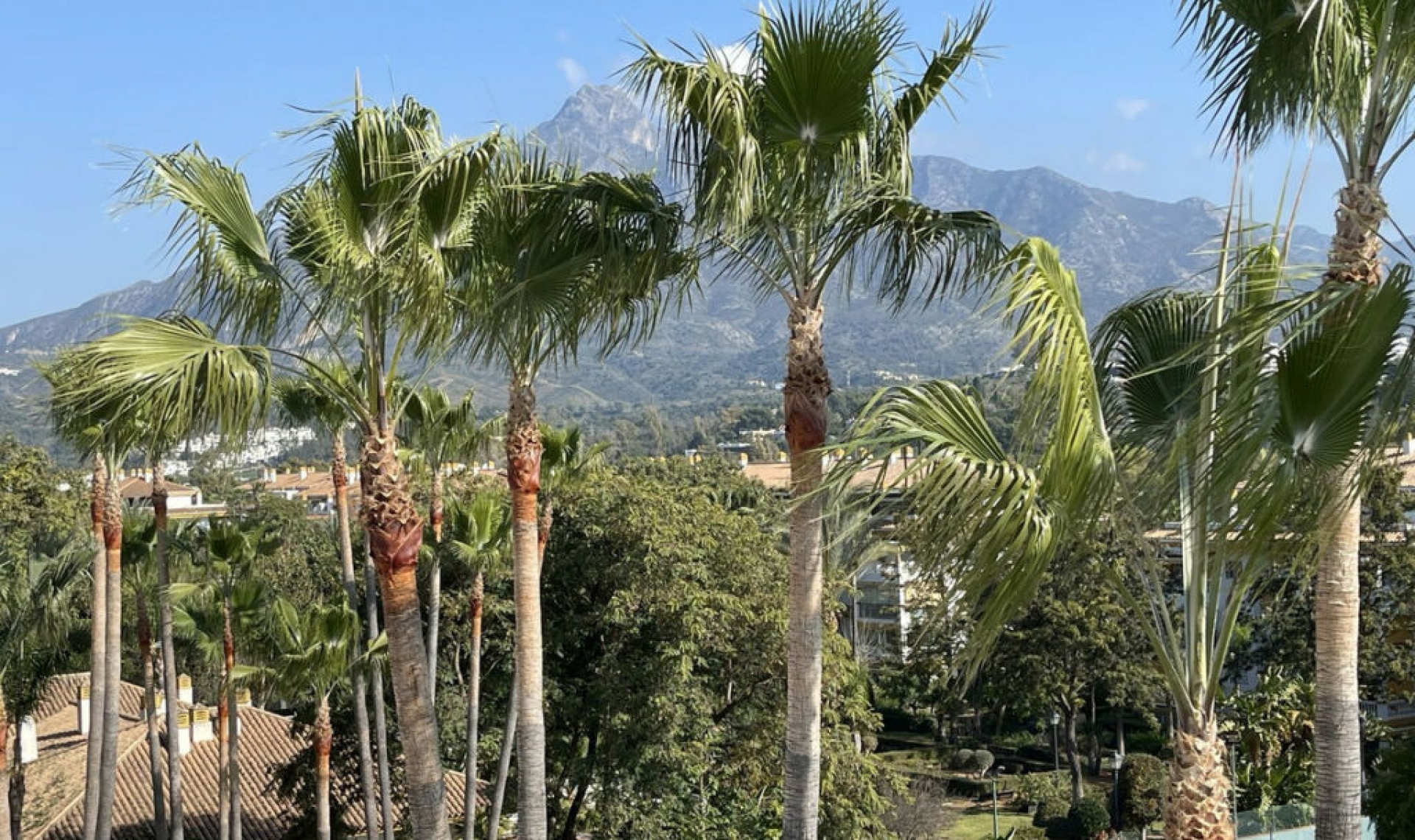 Další prodej - Apartment -
Nueva Andalucía