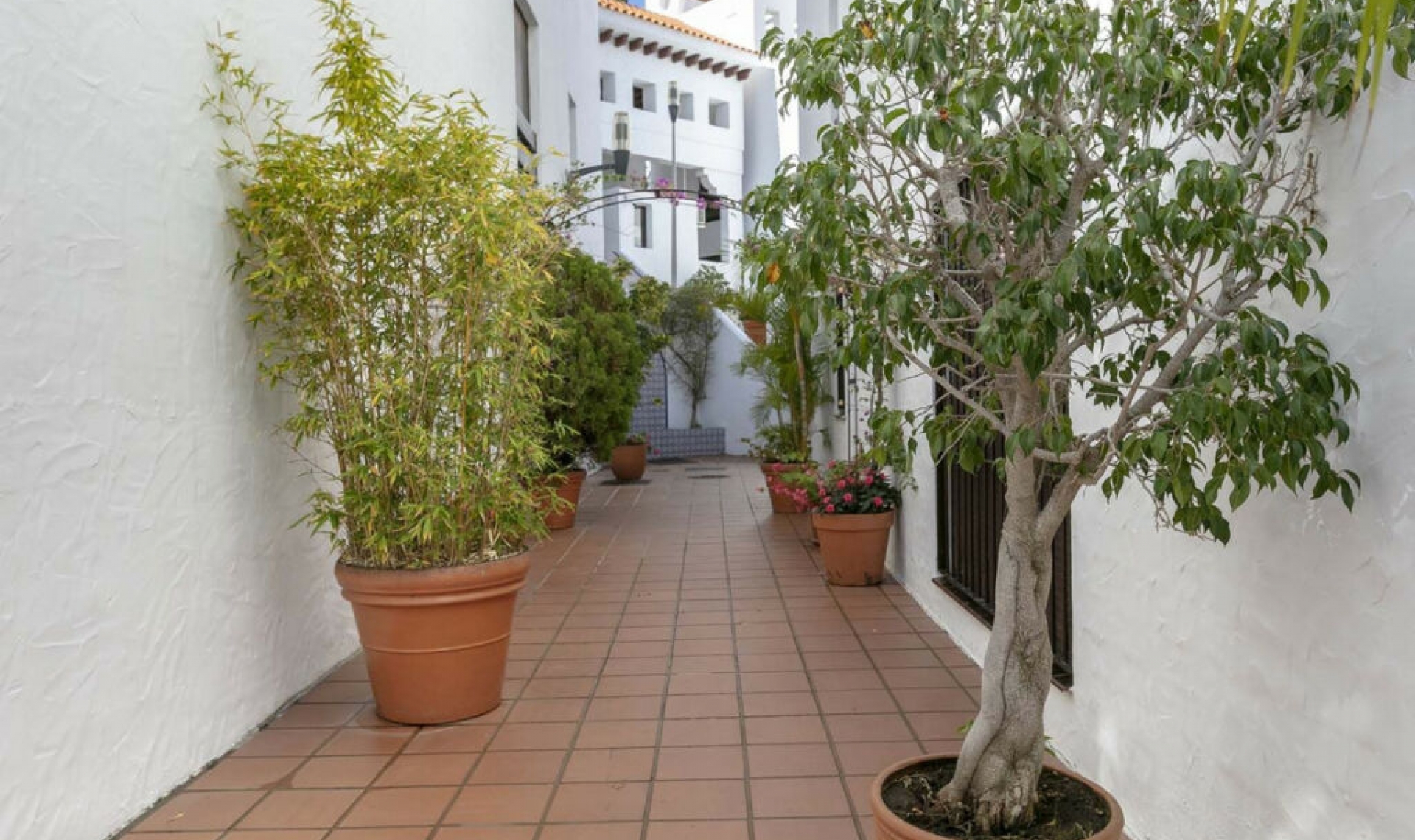 Další prodej - Apartment -
Nueva Andalucía